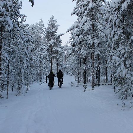 Studio Kaarto Rovaniemi Dış mekan fotoğraf